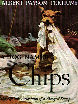 cover image of A Dog Named Chips